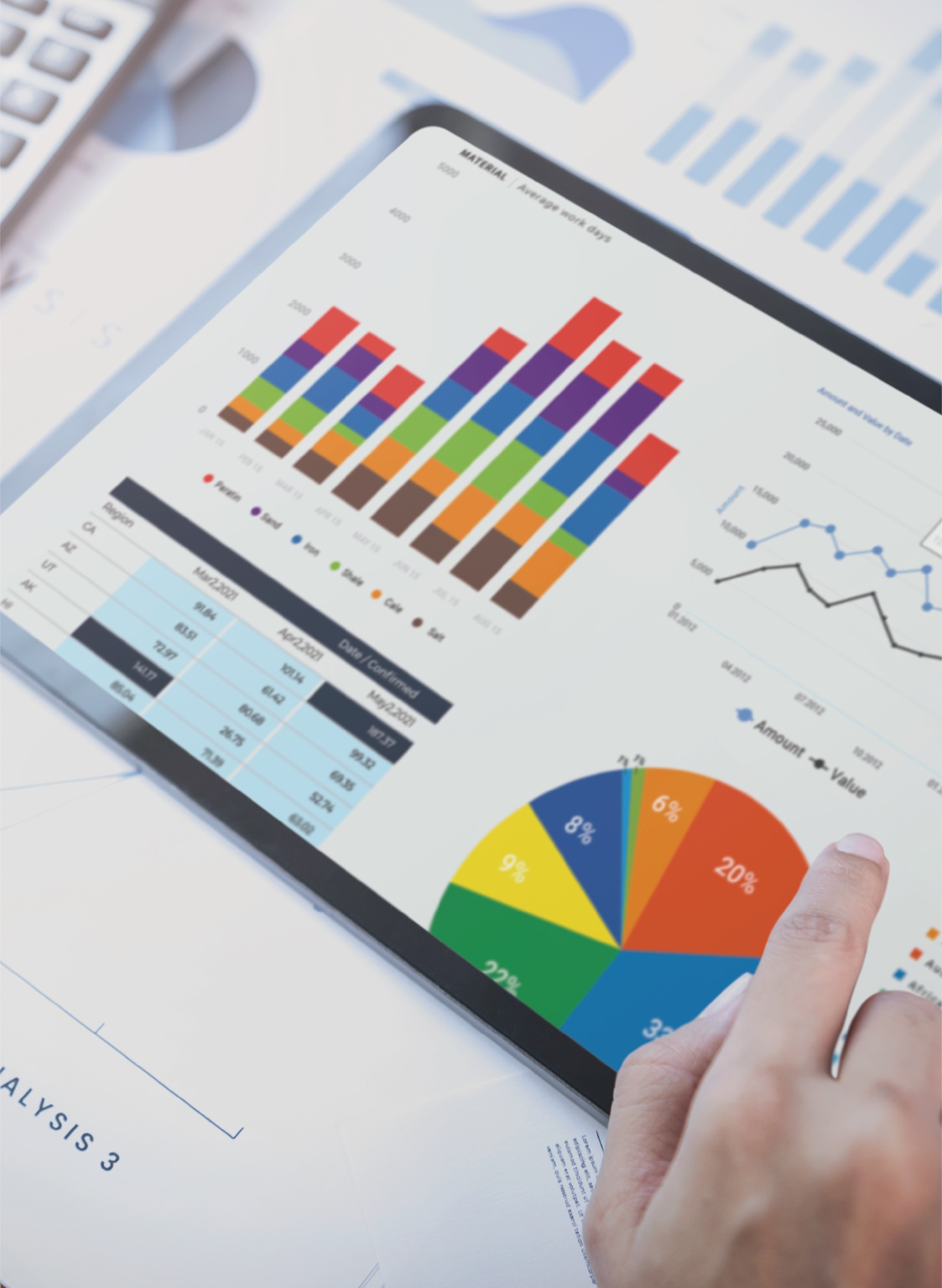Auditor's Report Image
